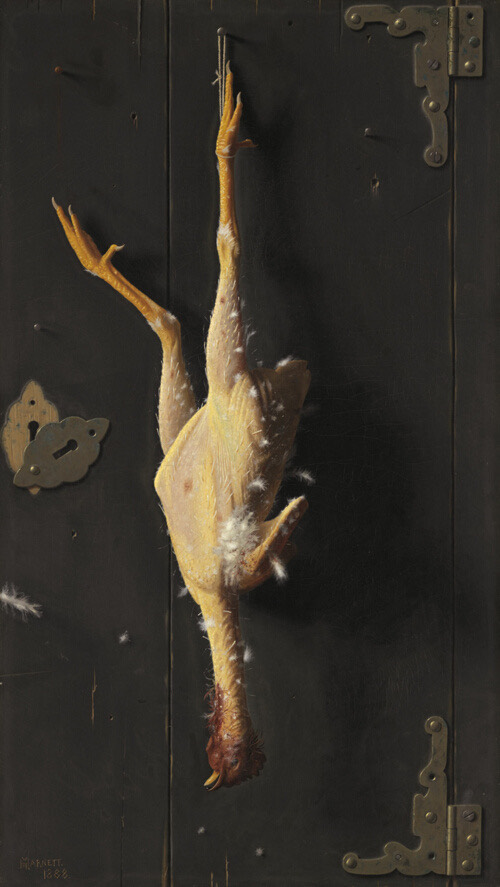 A plucked chicken, a few stray feathers remaining, hangs upside-down by one foot, illuminated. Behind it the metal hinges and wood panels of a door are visible.