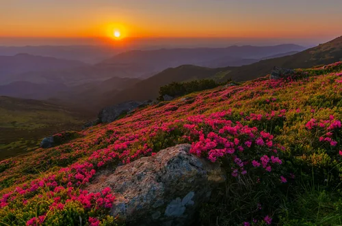 Dawn on mountain Vykhatiy Kamin. Carpathian National Nature Park, Ivano-Frankivsk Oblast.