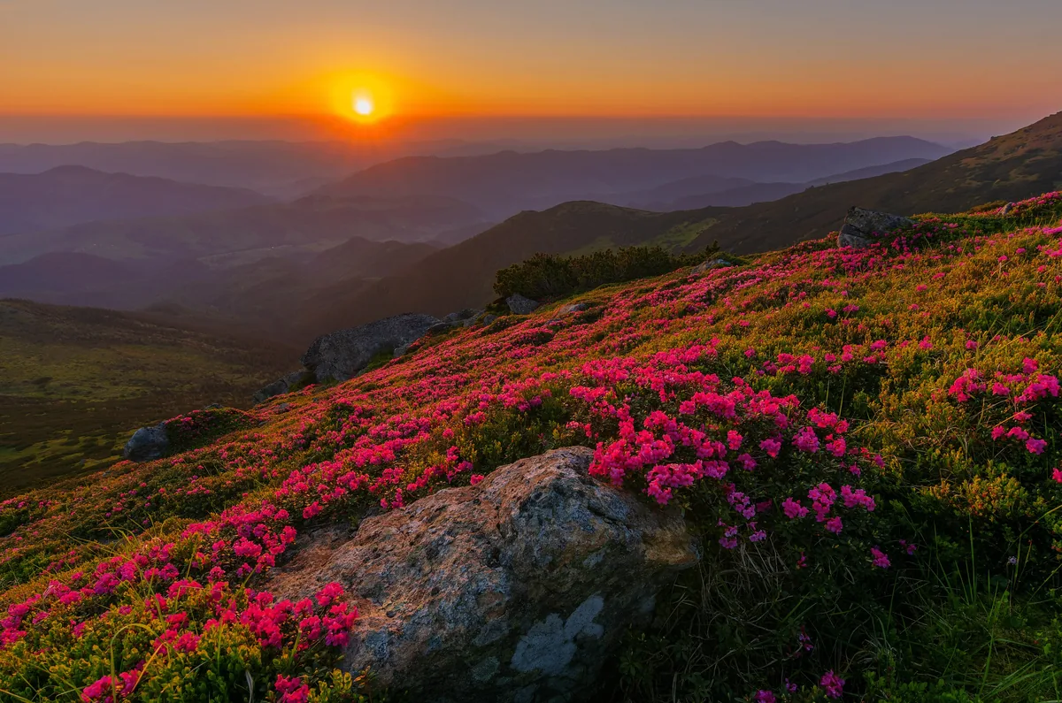 Dawn on mountain Vykhatiy Kamin. Carpathian National Nature Park, Ivano-Frankivsk Oblast.