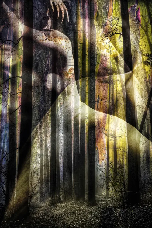 Anima by Stephen Spartana. A pale female figure dissolves into a dark forest, her outline running between tall tree trunks in yellow and violet light.