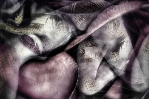 Heart of the Rose by Stephen Spartana. Layered petal-like folds in mauve and grey, with a rounded rose-pink form at the lower left.
