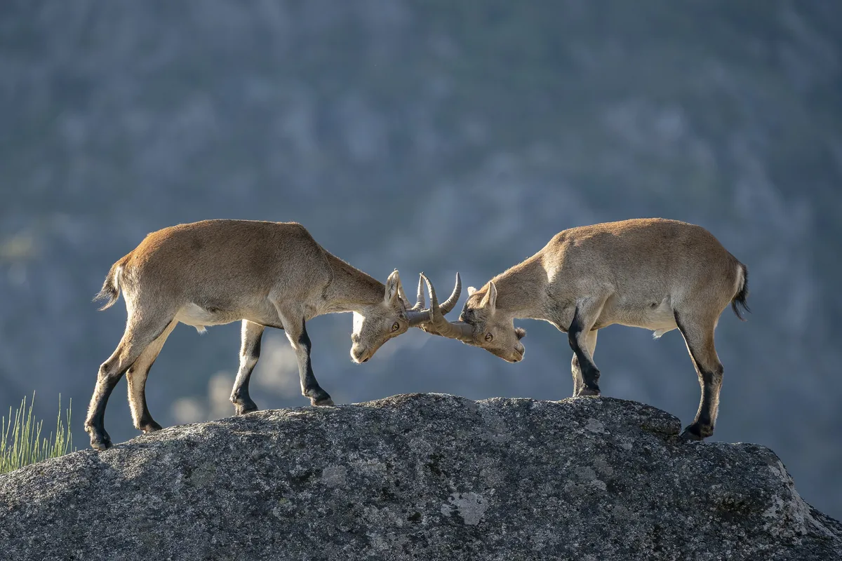 Peneda-Gerês National Park