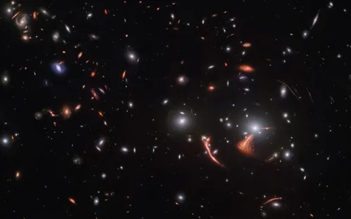 Cosmic Seahorse