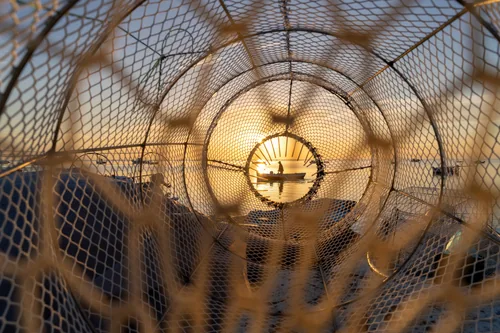 A fisherman returns to the port at daybreak in Kerkennah, as seen through a fish trap - wide view - Tunisia