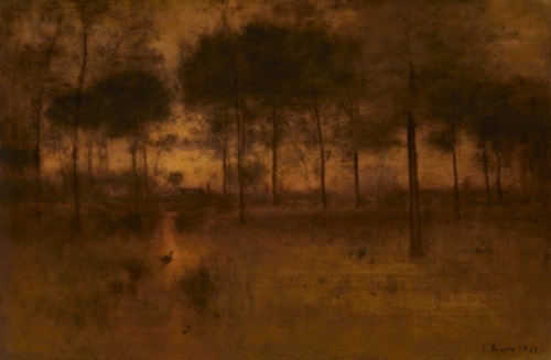 A heronǳ silhouette sits amongst the brush in a golden hued forest.