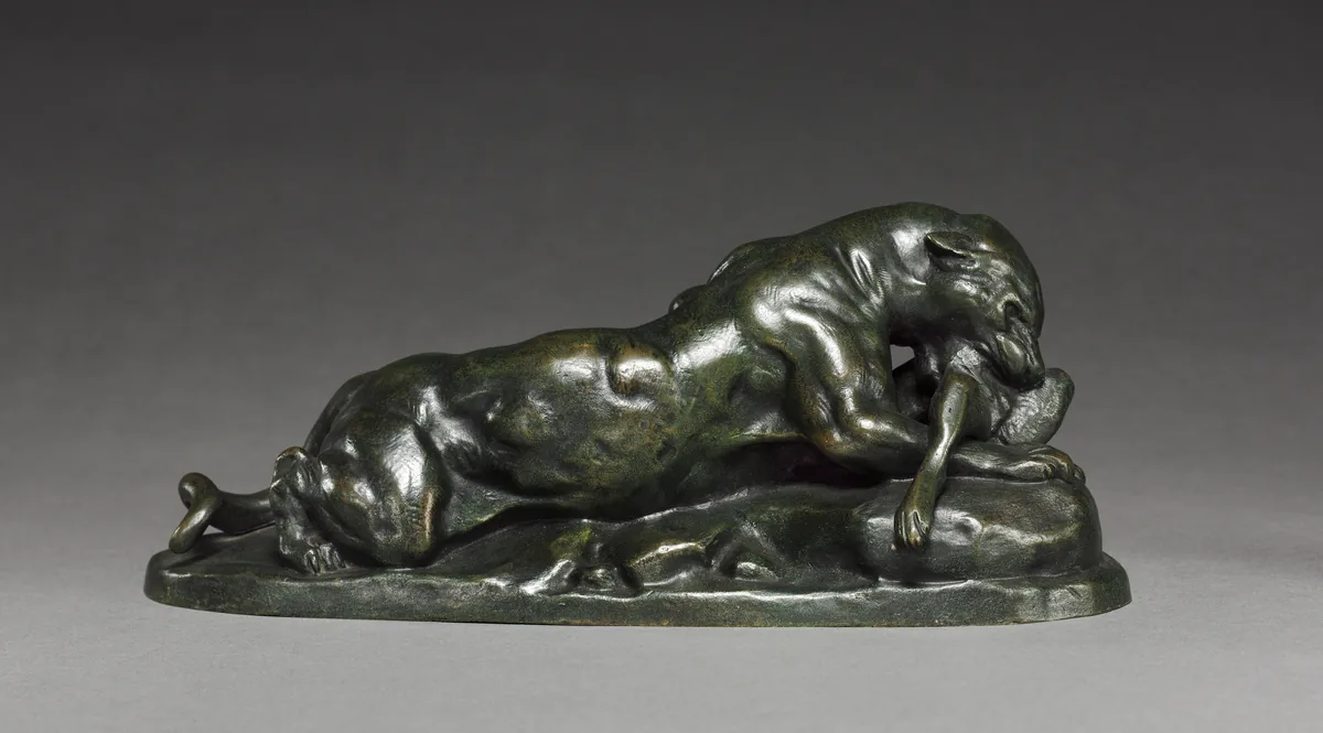Jaguar