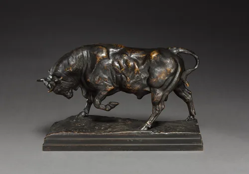Bull