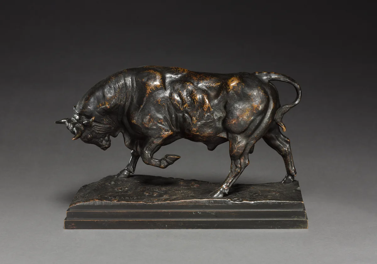 Bull