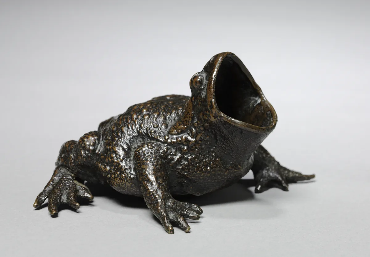 Toad
