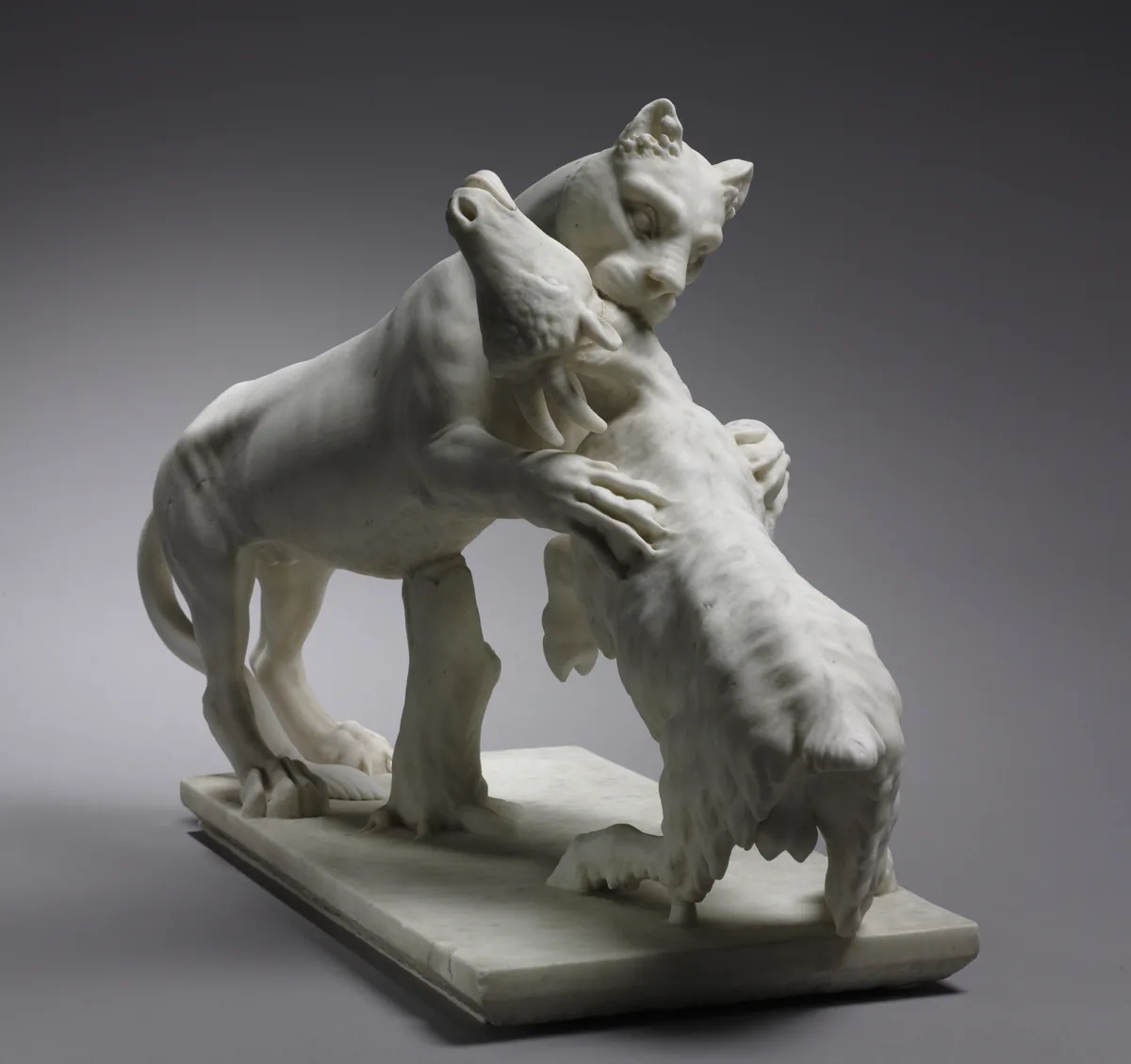 Panther Attacking a Goat