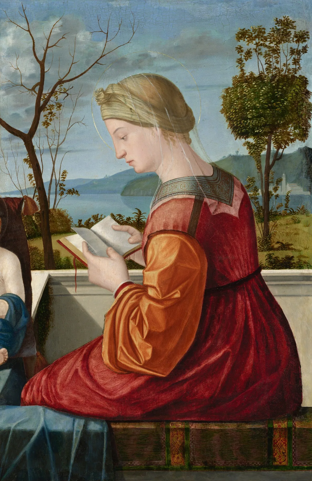 Shown from the hips up against a landscape, a woman with pale skin, wearing a burgundy-red dress with marigold-orange sleeves and a sheer veil, sits facing our left in profile as she reads a small book in this vertical painting.