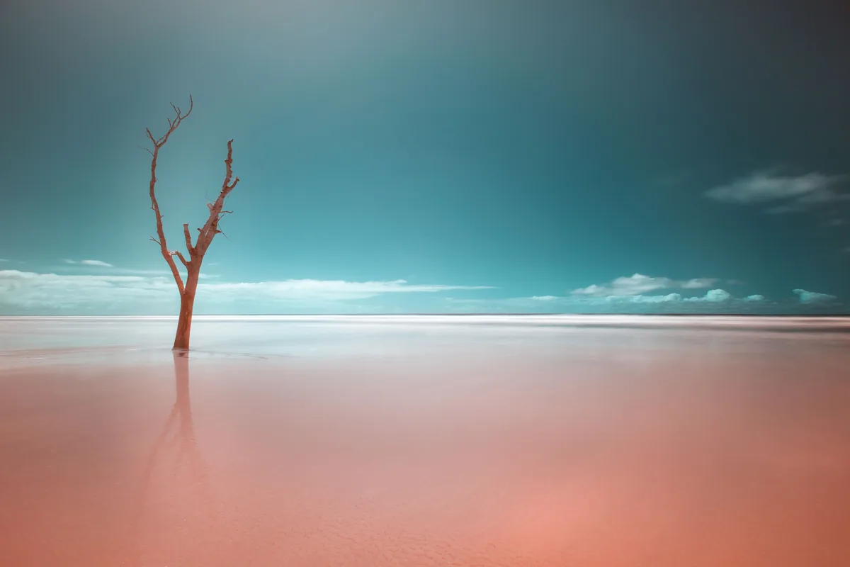 Ilha do Cardoso, Infrared