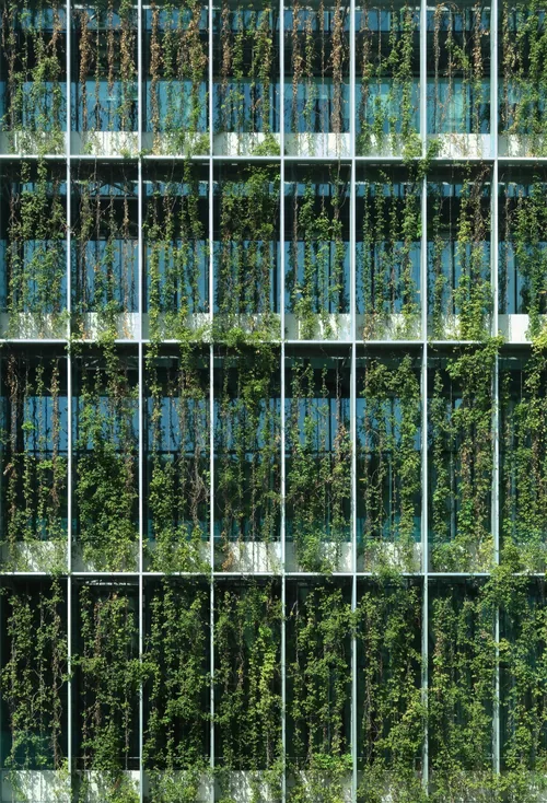 A glass facade grid overgrown with hanging plants, seen flat-on in an interior garden.