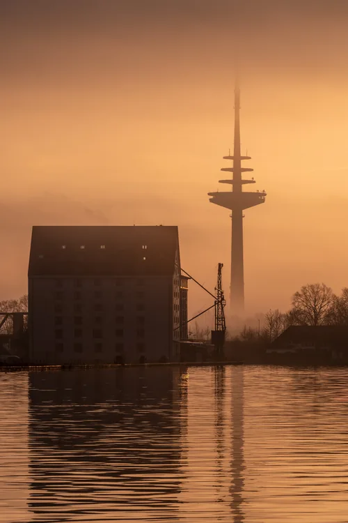 A brick warehouse and the telecommunications tower rising out of morning fog over the city harbour.