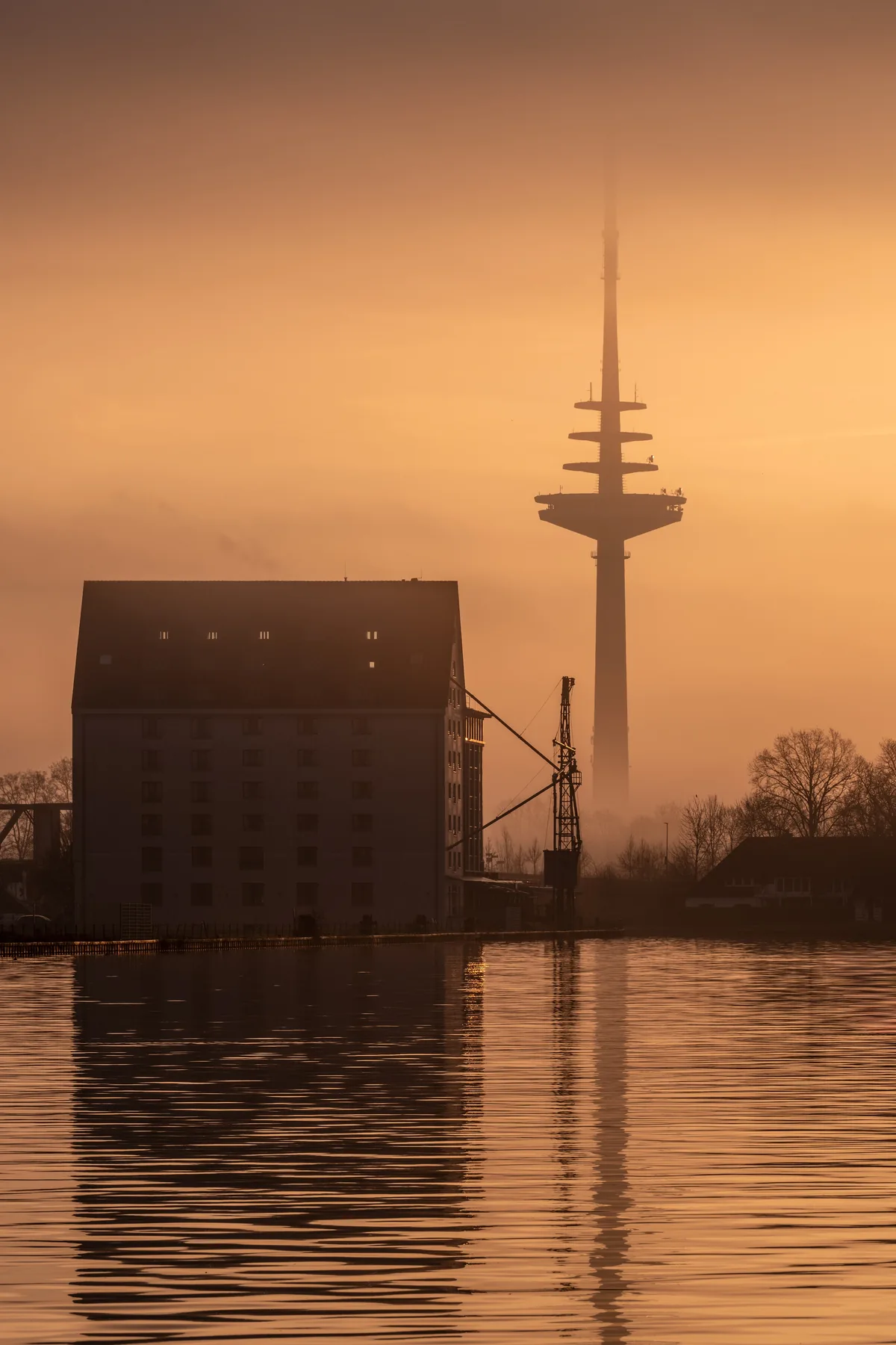 A brick warehouse and the telecommunications tower rising out of morning fog over the city harbour.