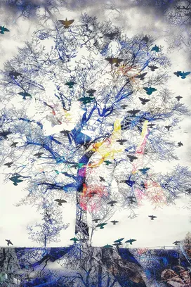 Stephen Spartana, Echoes of Flight
