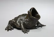 Artist unknown, Toad